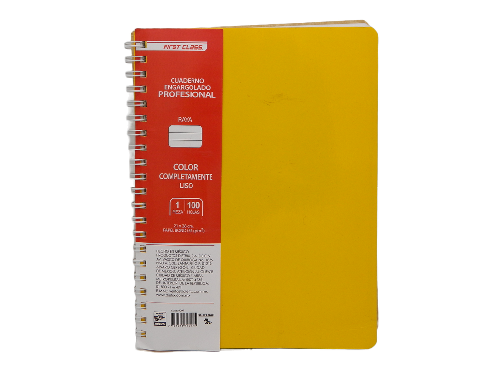 Cuaderno Profesional Rayado 100 Hjs Dietrix