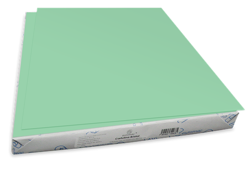[004452] Cartulina Bristol 50 Kg Verde C/ 100 pzs Arpapel